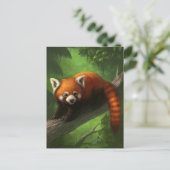 Carte postale Red Panda (Debout devant)