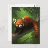 Carte postale Red Panda (Devant / Derrière)