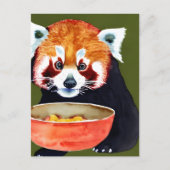 Carte postale Red Panda Eating (Devant)
