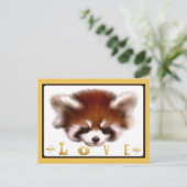 Carte Postale Red Panda Love (Debout devant)