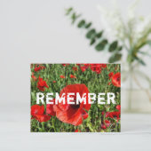 Carte postale Red Poppies (Debout devant)