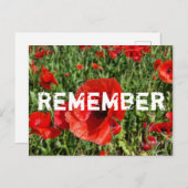 Carte postale Red Poppies (Devant / Derrière)