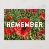 Carte postale Red Poppies (Devant)