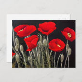 Carte Postale Red Poppies Nature Art (Devant / Derrière)