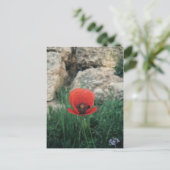 Carte Postale Red Poppy (Debout devant)