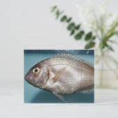 Carte Postale Red Porgy (Debout devant)