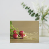 Carte postale Red Radis (Debout devant)