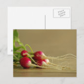 Carte postale Red Radis (Devant / Derrière)