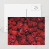 Carte postale Red Raspberries (Devant / Derrière)