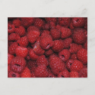 Carte postale Red Raspberries
