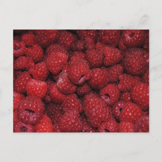 Carte postale Red Raspberries (Devant)