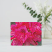 Carte postale Red Rhododendron (Debout devant)
