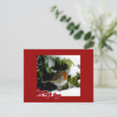 Carte postale Red Robin (Debout devant)