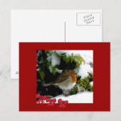 Carte postale Red Robin (Devant / Derrière)