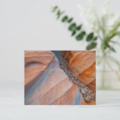 Carte Postale Red Rock Valley Fire State Park Nevada (Debout devant)