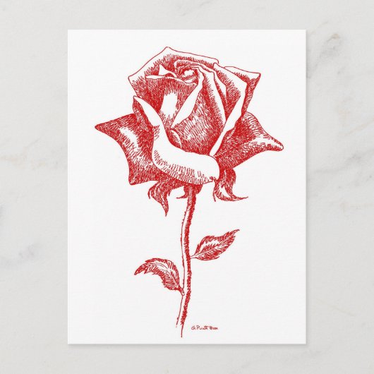 Carte Postale Red Rose Designs (Devant)