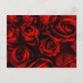 Carte postale Red Rose Elegance (Devant)