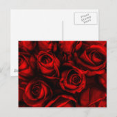 Carte postale Red Rose Elegance (Devant / Derrière)