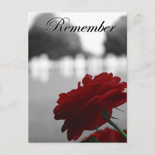 Carte Postale Red Rose Memorial Day (Devant)