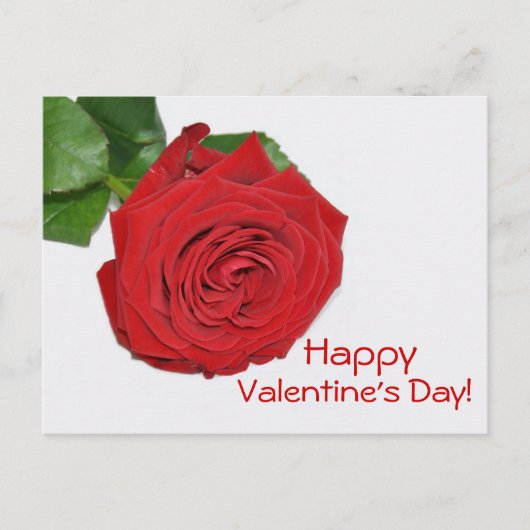 Carte postale Red Rose Valentine's Day (Devant)