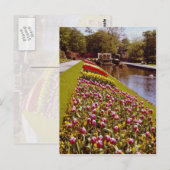 Carte Postale Red Roundhay Park, Leeds, fleurs d'Angleterre (Devant / Derrière)