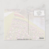 Carte Postale Red Roundhay Park, Leeds, fleurs d'Angleterre (Dos)