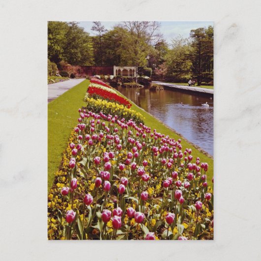 Carte Postale Red Roundhay Park, Leeds, fleurs d'Angleterre (Devant)