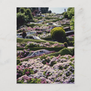 Carte Postale Red San Francisco, Fleurs de Californie