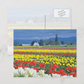 Carte Postale Red Skagit Valley, Mount Rainier, Washington, État (Devant / Derrière)