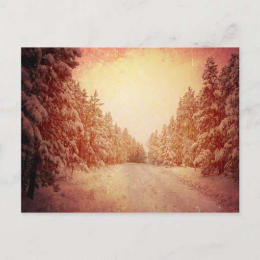 Carte Postale Red Snowy Road, Conifer, CO (Devant)