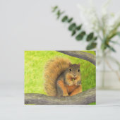 Carte postale Red Squirel (Debout devant)