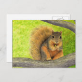 Carte postale Red Squirel (Devant / Derrière)