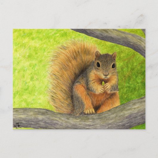 Carte postale Red Squirel (Devant)