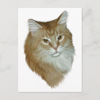 Carte Postale Red Tabby Maine Coon