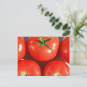 Carte postale Red Tomatoes (Debout devant)