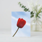 Carte postale Red Tulip (Debout devant)