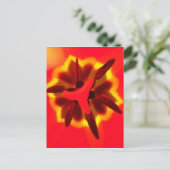 Carte Postale Red Tulip Centre (Debout devant)
