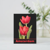 Carte Postale Red Tulips Amsterdam (Debout devant)