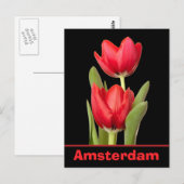 Carte Postale Red Tulips Amsterdam (Devant / Derrière)