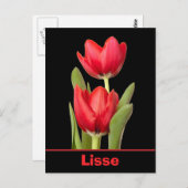 Carte Postale Red Tulips Lisse (Devant / Derrière)