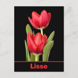 Carte Postale Red Tulips Lisse