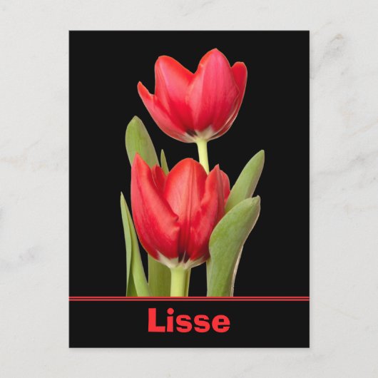 Carte Postale Red Tulips Lisse (Devant)