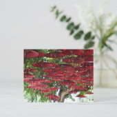 Carte Postale Red Umbrellas in the Sky - Asian Postcard (Debout devant)