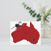 Carte Postale Redback Spider Australie (Debout devant)