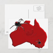 Carte Postale Redback Spider Australie (Devant / Derrière)