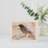 Carte Postale Redémarrage (Debout devant)