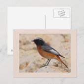 Carte Postale Redémarrage (Devant / Derrière)