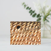 Carte Postale "Redfish" - Red Drum by PatternWear © (Debout devant)