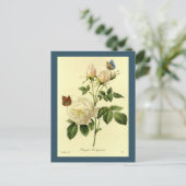 Carte Postale Redoute Illustration Hymanee, Rose du Bengale (Debout devant)