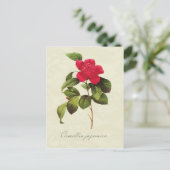 Carte postale Redoute Red Camellia Botanique (Debout devant)